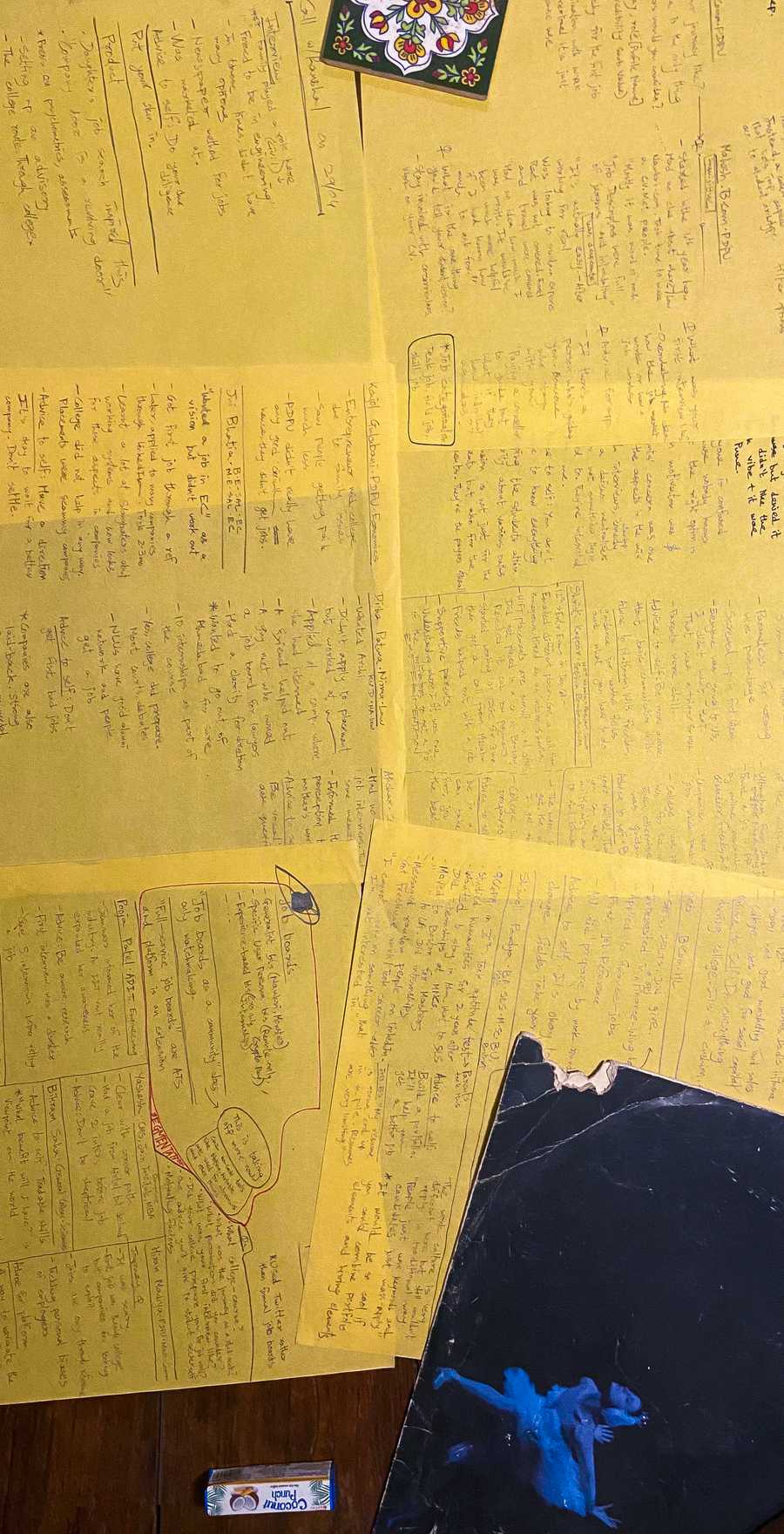 Notes from interviews with graduates