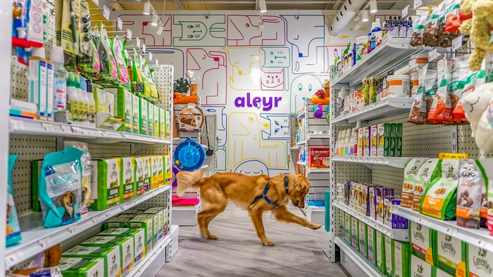 A doggie in an Aleyr pet store